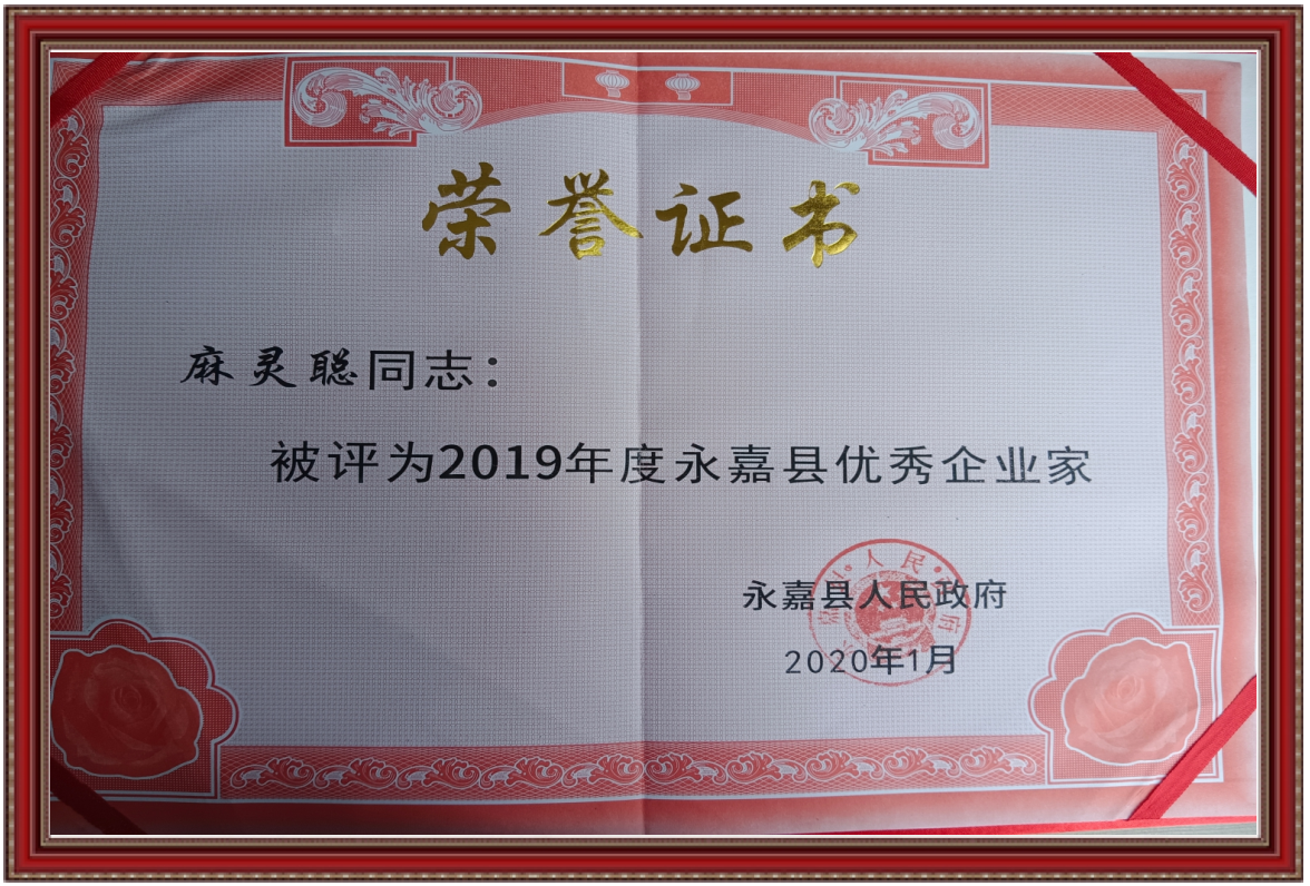 优秀企业家